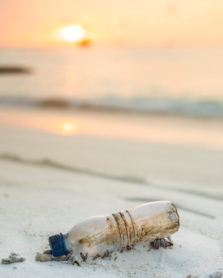 why-we-are-creating-oceans-of-plastic-in-the-ocean-the-great-educator